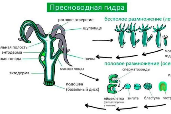 Kraken адрес onion